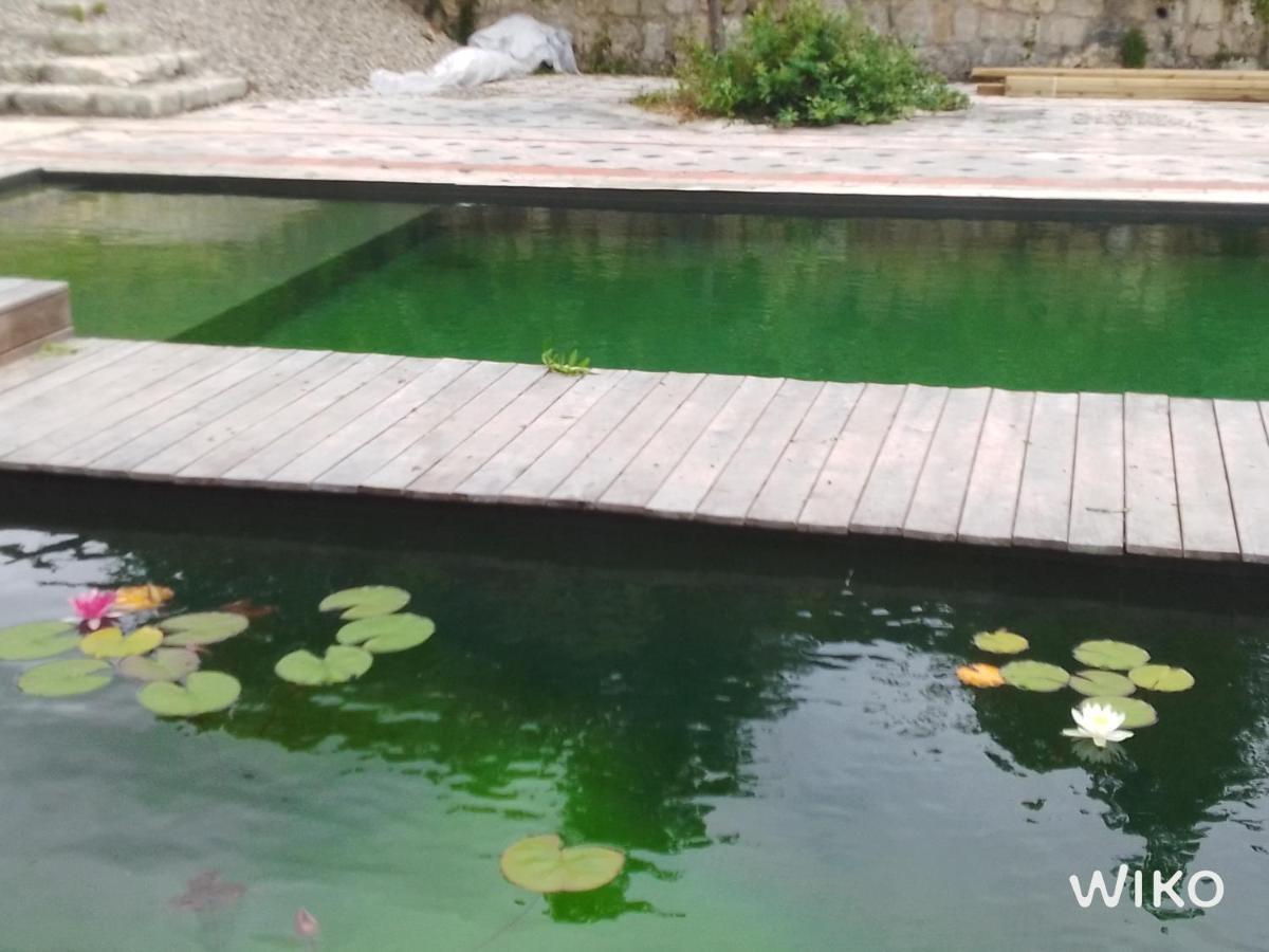 Gite Les Cabanes De Fallot Pour 15 Personnes - Piscine Naturelle L'isle-Bouzon Exterior foto