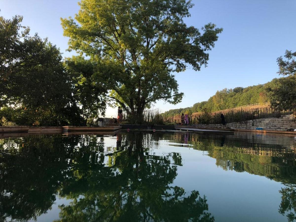 Gite Les Cabanes De Fallot Pour 15 Personnes - Piscine Naturelle L'isle-Bouzon Exterior foto